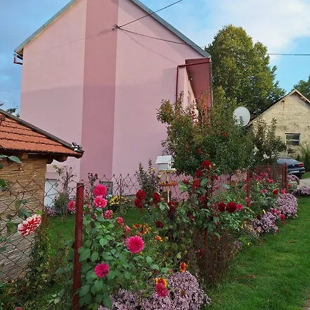 Rural Vidovic Σπίτι διακοπών Ugarci