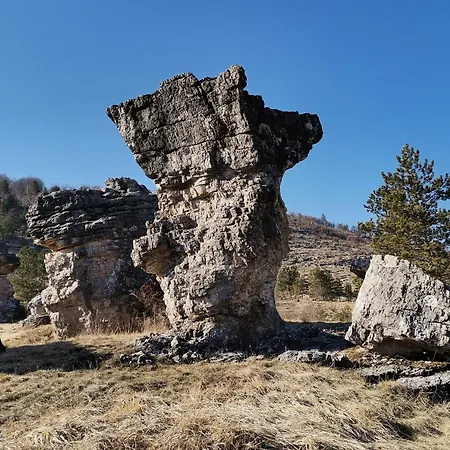 Rural Vidovic