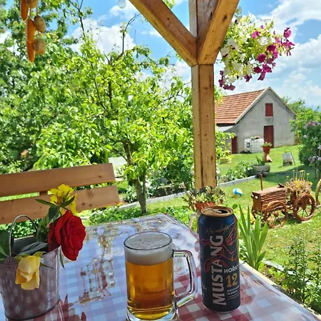Rural Vidovic Σπίτι διακοπών *